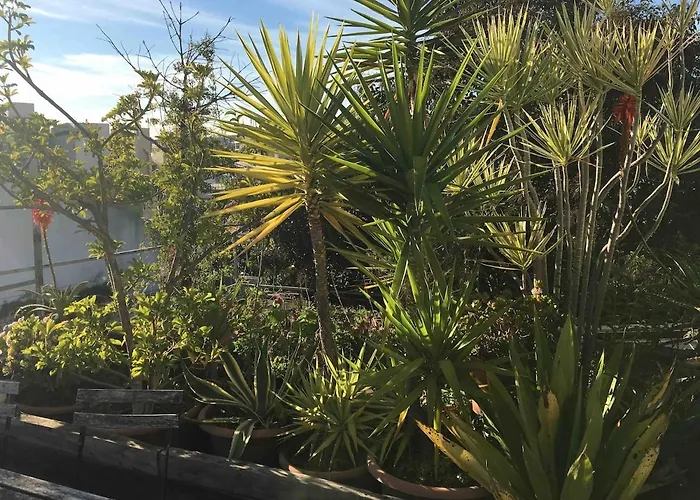 Apartamento Terrace & Sunny - Center, Quiet & Pratical