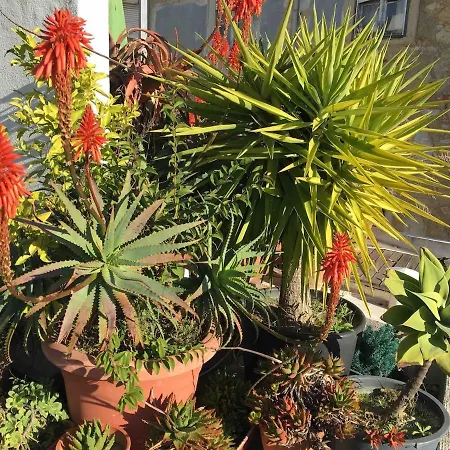 Terrace & Sunny - Center, Quiet & Pratical Apartmán Lisboa