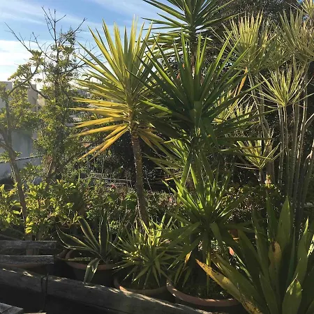 Apartmán Terrace & Sunny - Center, Quiet & Pratical